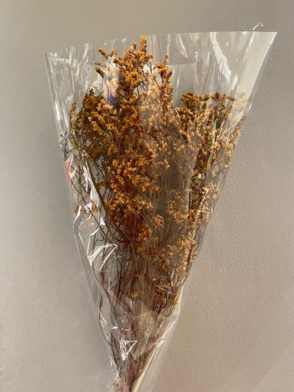 Limonium Dried